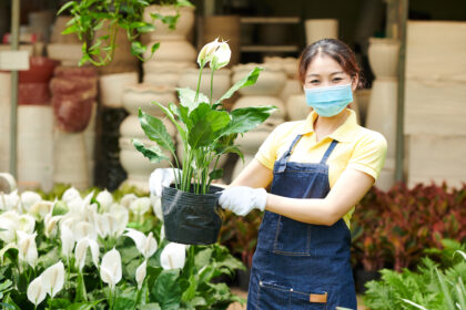 worker holding pot with peace lily 2021 09 02 15 10 43 utc