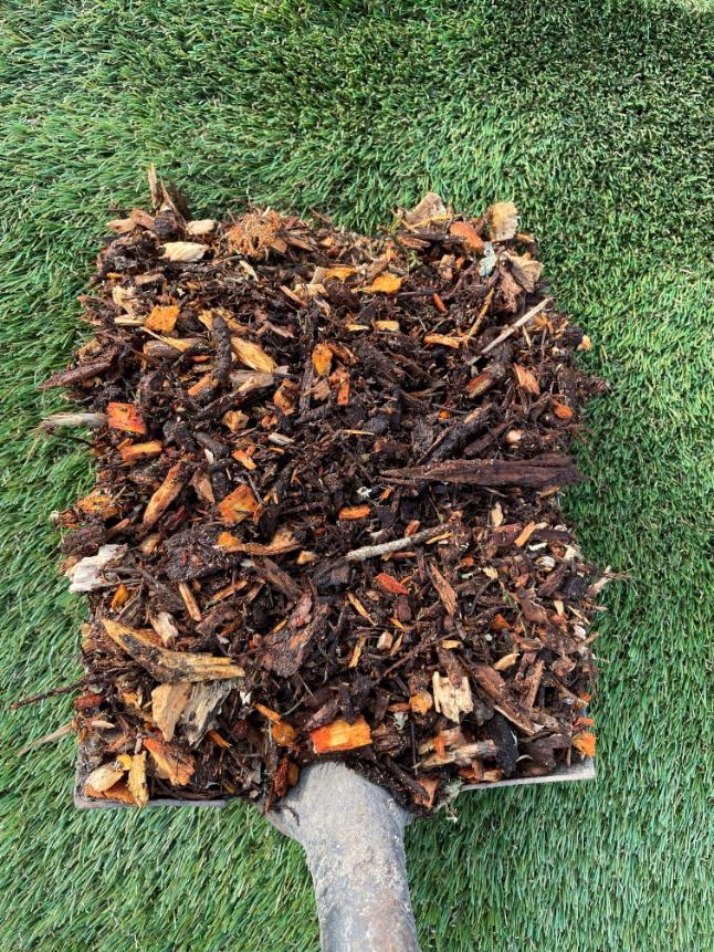 Peninsula Forest Mulch